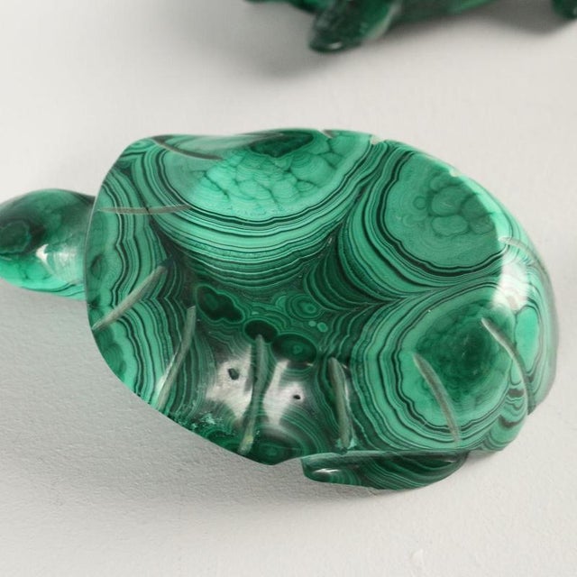 Vintage Green Malachite Turtles, Set of 12 For Sale - Image 6 of 7