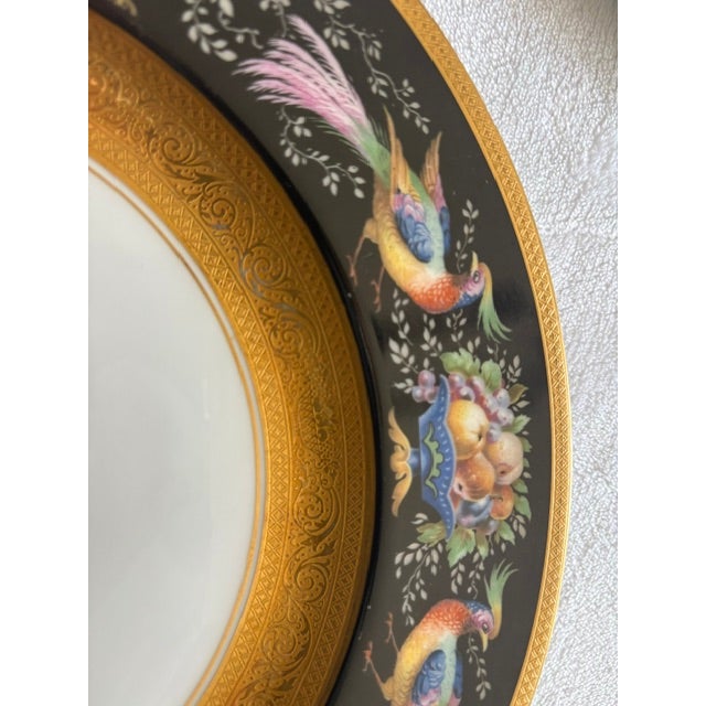 Set of 12 Pristine Hutschenreuther Black Knight Porcelain Dinner Plates – Gold Encrusted Pheasant & Fruit Motif, Mid-20th Century, Decorated in Usa For Sale In Indianapolis - Image 6 of 10