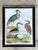 Illustration Vintage Audubon Print of Three Birds For Sale - Image 3 of 12