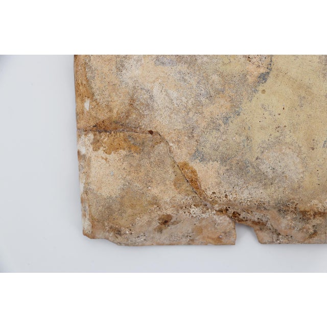 Blue 18th Century Blue and White Portuguese Tile Depicting a Horse Head For Sale - Image 8 of 8