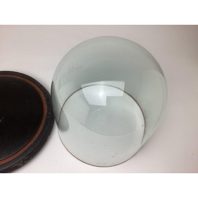Victorian Antique Hand Blown Glass Cloche Dome With Wood Base 11 1/2” by 11” Tall For Sale - Image 3 of 6