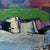 Abstract Expressionist Landscape by Leon Saulter, 1958 For Sale - Image 4 of 7