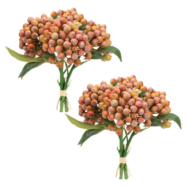 Rustic Orange Berry Bundle (Set of 2) For Sale - Image 3 of 3
