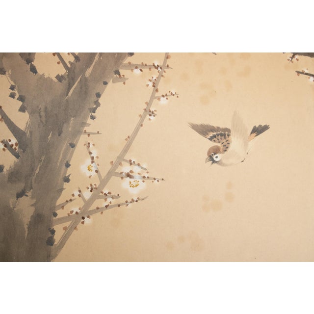 Large Taisho Japanese Byobu Screen "Sparrow and the Plum Tree" by Ryosetsu Kobe For Sale In Dallas - Image 6 of 18