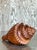 Late 20th Century Vintage Boho Carved Wood Conch Shell For Sale - Image 5 of 12