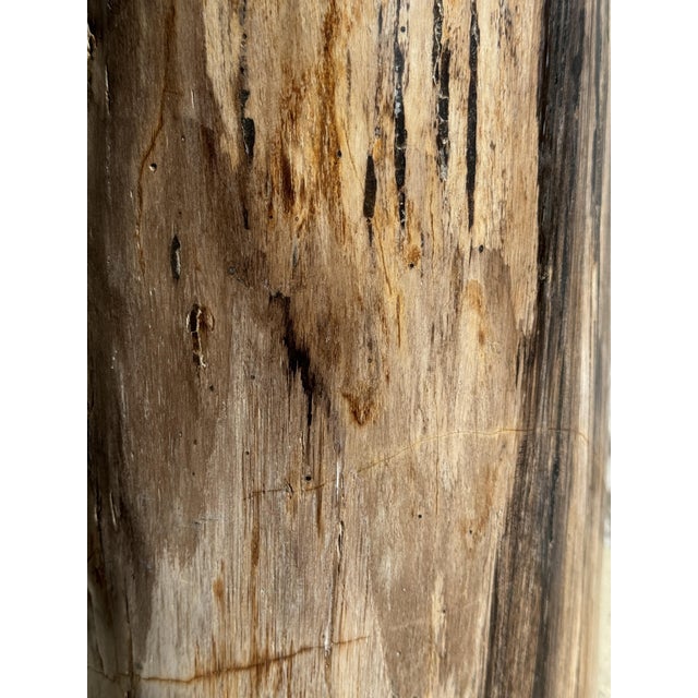 Multicolored Petrified Wood Side Table For Sale - Image 12 of 18