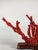 Large coral sculpture, early 20th century China, depicting sages and children surrounding a seated old man holding a fan....