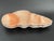 Contemporary Large Divided Serving Dish in the Shape of Conch Shell - Set of 2 For Sale - Image 3 of 9
