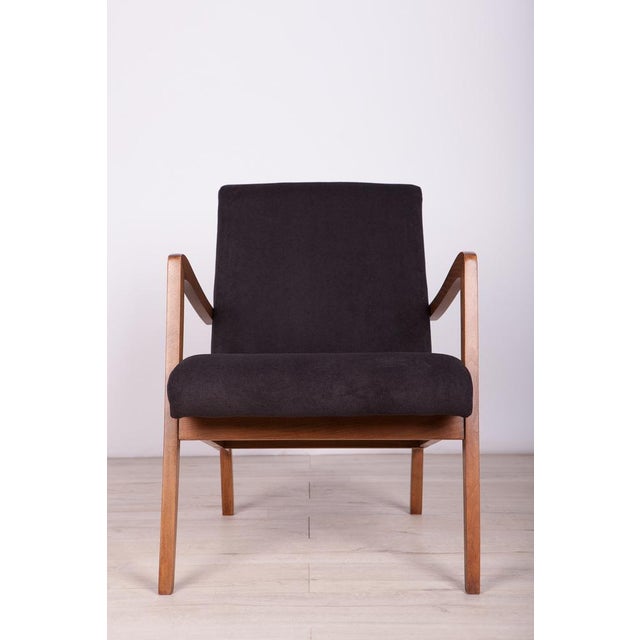 Set of Type 300-138 Beech Armchairs from Bystrzyckie Furniture Factory, 1960s For Sale - Image 6 of 18