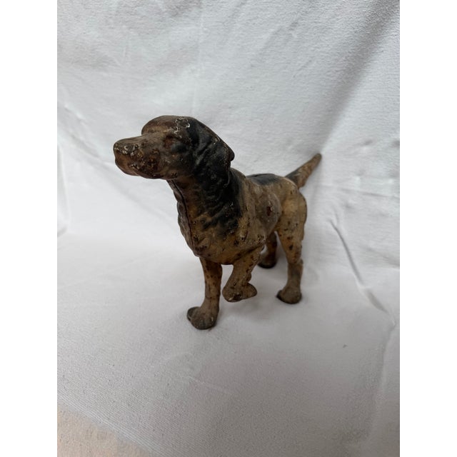 Posing English Setter Ready for the Hunt For Sale - Image 9 of 12