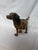 Posing English Setter Ready for the Hunt For Sale - Image 9 of 12