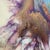 Original Abstract Fluid Art Painting Signed Framed Contemporary Art For Sale - Image 11 of 12