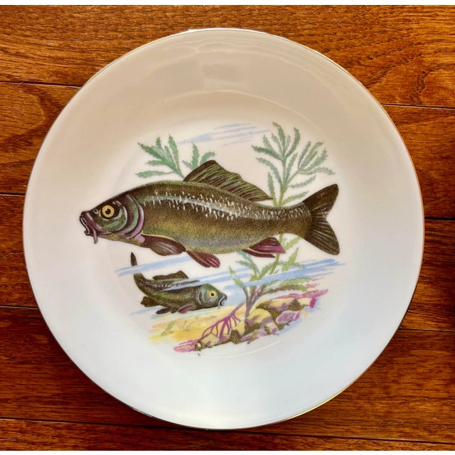 Coastal Vintage Set of 6 Trout Fish Design Appetizer Plates ~ Barvaria For Sale - Image 3 of 11
