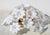 1980s 1980s Audrey Hepburn, Delicious Murano Glass Ceiling Light White Wall Light Flowers For Sale - Image 5 of 16