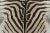 Originating from South Africa, this 6x10 Burchell's zebra hide is an extraordinary statement piece from Rug & Kilim’s...