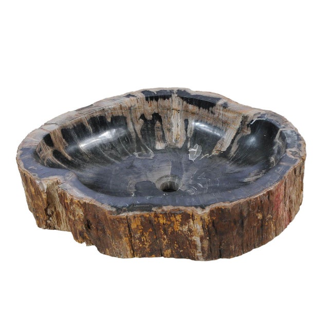 Petrified Wood Hand Wash Basin by Xyleia Petrified Wood For Sale - Image 4 of 8