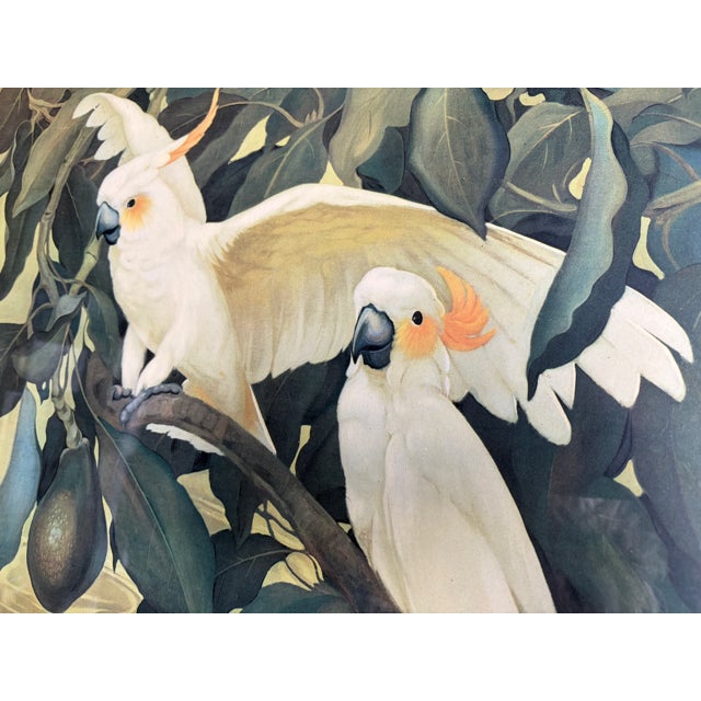 Wood Vintage Mid-Century 1942 Jessie Arms Botke “Citron Cockatoos and Avocado” Lithograph, u.s. Print No. 730, Published by Catalda Fine Arts, Inc., Ny For Sale - Image 7 of 9