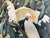 Wood Vintage Mid-Century 1942 Jessie Arms Botke “Citron Cockatoos and Avocado” Lithograph, u.s. Print No. 730, Published by Catalda Fine Arts, Inc., Ny For Sale - Image 7 of 9