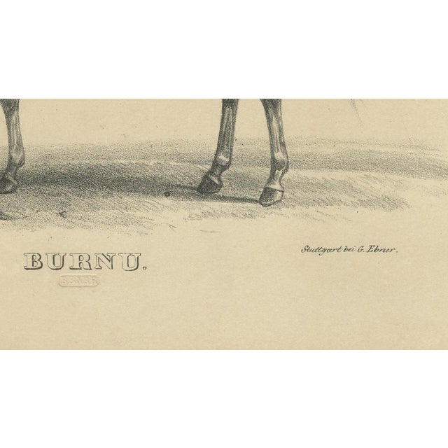 August Jäger, Burnu, 1846, Lithograph For Sale - Image 4 of 9
