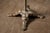 Early 20th Century Antique Gray Cast Iron Garment Rounder For Sale - Image 5 of 5