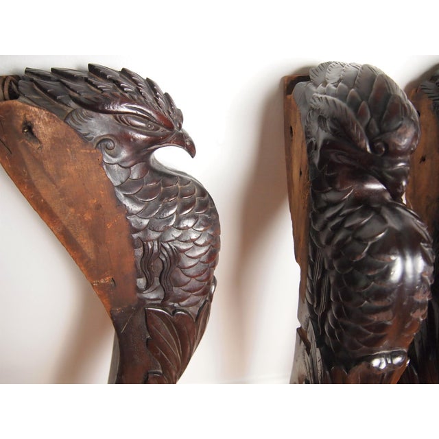 Figurative Set of 3 Carved Hawk Mahogany Architectural Fragments For Sale - Image 3 of 11
