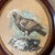 Original approx 13 x 16 painting on cardboard signed bottom right Overall size with oval vintage wood frame is...