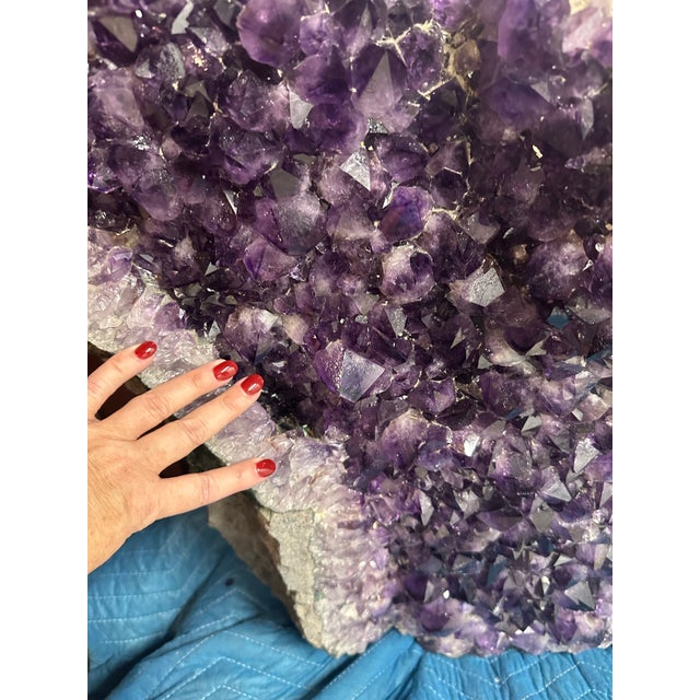 Museum-Scale Uruguayan Amethyst Geode Flower – Aaa Grape Jelly Purple Druzy, 27" For Sale - Image 11 of 11