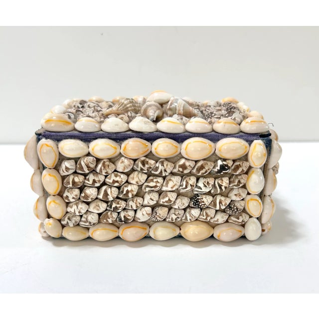 1940s Handcrafted Seashell Box, Coastal Palm Beach Decor For Sale In Louisville - Image 6 of 10