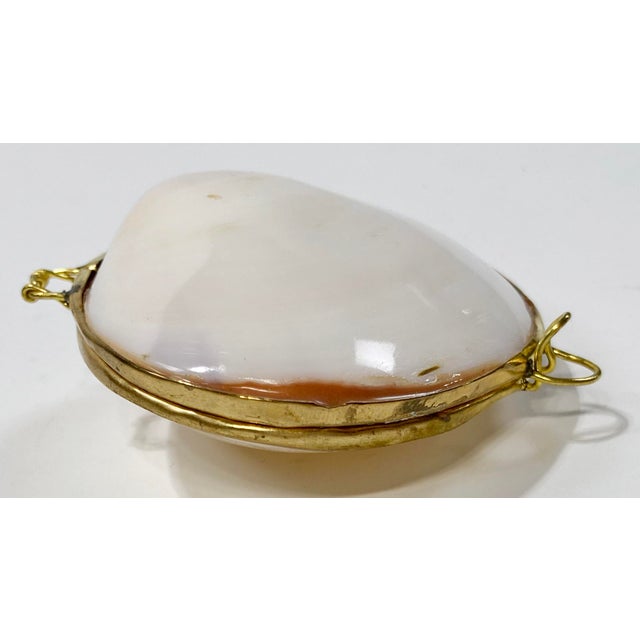 Vintage Pearlized Clam Shell Trinket Box For Sale - Image 4 of 6