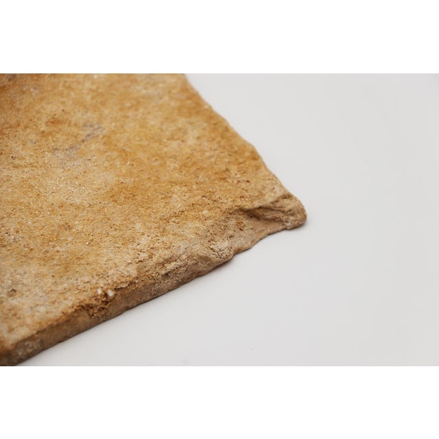 18th Century Blue & White Flower Set of Two Tiles, Portuguese For Sale - Image 11 of 12