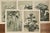 Green 1902 Set of 5 French Botanical Photographs For Sale - Image 8 of 8