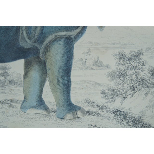 Mid 19th Century Antique 1842 English Fullarton African Rhino Rhinoceros Engraving, Framed For Sale - Image 5 of 10