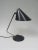 Desk Lamp from HALA - Hannoversche Lampenfabrik, 1950s For Sale - Image 4 of 13