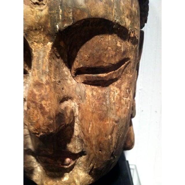 Large Wood Sculpture of Boddhisatva Head Ming Dynasty For Sale - Image 9 of 17