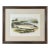 Antique Color Woodblock Print Salmon Trout Fish William Houghton C.1879 For Sale