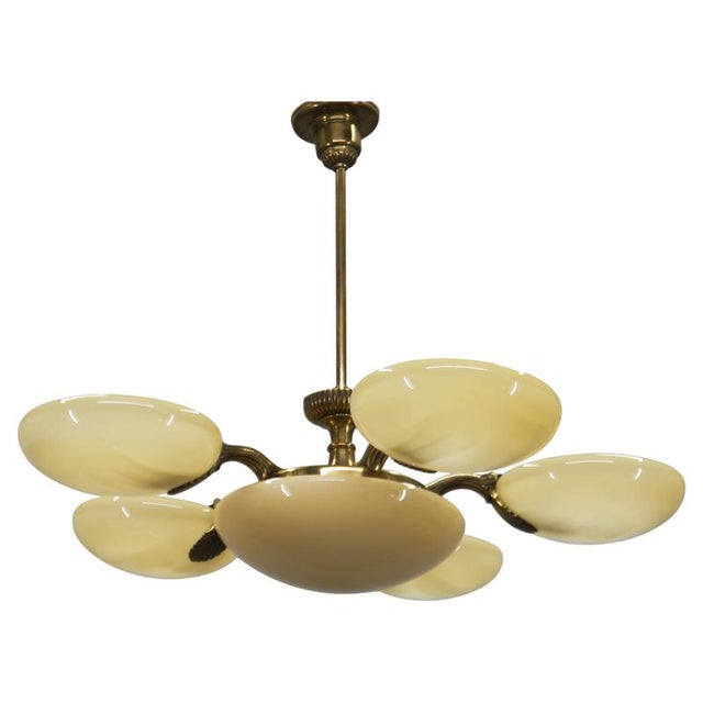 Art Nouveau Six-Light Brass Chandelier by Jencik, Czechoslovakia, 1920s For Sale - Image 17 of 17