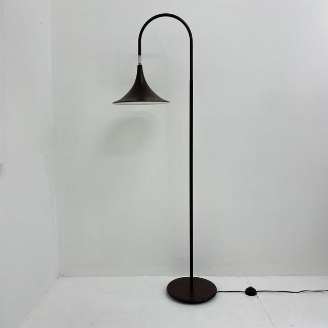 Minimalist Dutch Hala Zeist Trumpet Brown Floor Lamp, 1970s For Sale - Image 13 of 18