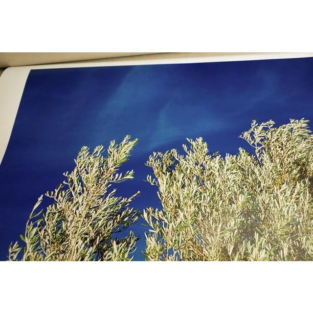 2000 - 2009 Ian Sanderson, Olivier, Fine Art Print, 2005 For Sale - Image 5 of 9