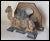An Antique Art Deco, Antique Egyptian Revival desk top Letter Holder decorated with a Camel. The Letter Holder is made of...