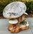 Contemporary Cast Stone Mushroom Toadstool Garden Sculpture With Frog For Sale - Image 3 of 12