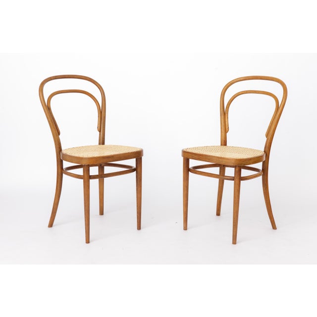 Brown Vintage Model 14 Chairs in Bentwood from Thonet, 1980s, Set of 2 For Sale - Image 8 of 12