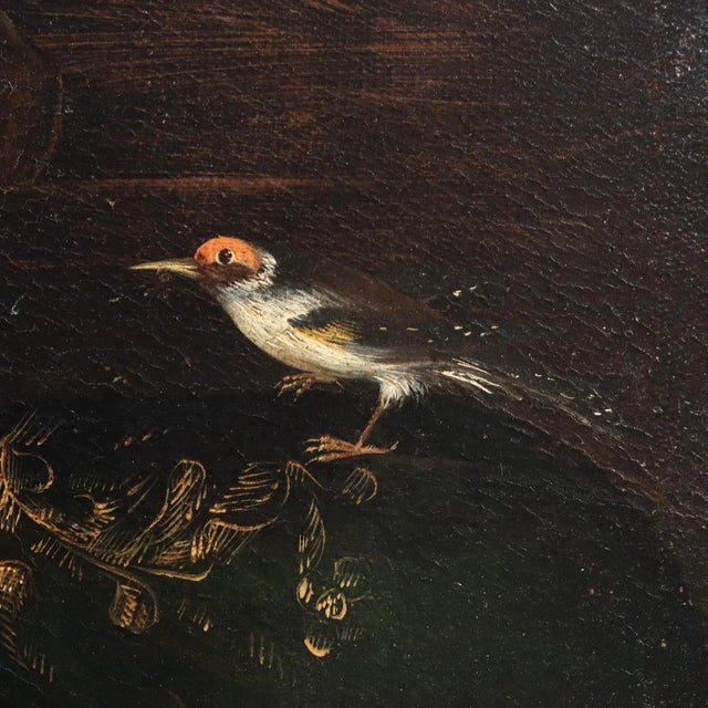 Neapolitan School Artist, Still Life with Flowers and Birds, 17th Century, Oil on Canvas For Sale - Image 6 of 13