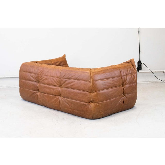 Animal Skin Vintage Two-Seater Togo Sofa with Arms in Brown Pine Leather by Michel Ducaroy for Ligne Roset, 1970s For Sale - Image 7 of 18
