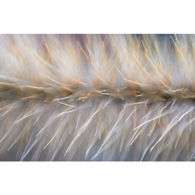 Marko Milić, Overdrive, Abstract Photography For Sale