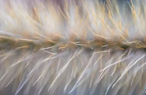 Marko Milić, Overdrive, Abstract Photography
