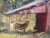 Contemporary "Seeking Shade" ~ Lorie Batson, Original Oil Painting. A Quiet Farm Scene With a Mini Donkey Seeking Shade Under an Old Barn Roof. For Sale - Image 3 of 8