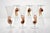Amber Murano Glass and Pulegoso Nautilus Flutes from Cenedese, 1950s, Set of 6 For Sale - Image 17 of 18