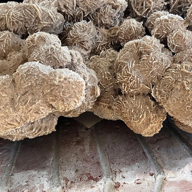 Late 20th Century Very Large Selenite Desert Rose Crystal Cluster Rock Formation For Sale - Image 11 of 11