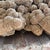Late 20th Century Very Large Selenite Desert Rose Crystal Cluster Rock Formation For Sale - Image 11 of 11