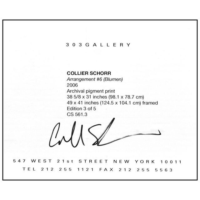 Arrangement #6, Collier Schorr For Sale - Image 4 of 5